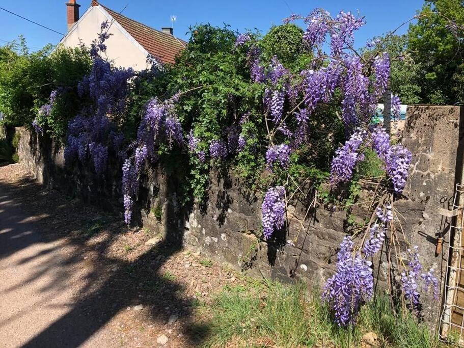 La Petite Maison D'Orphee Marmagne  ภายนอก รูปภาพ